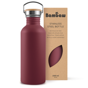 Stainless Steel Bottle