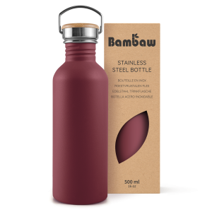 Stainless Steel Bottle