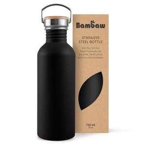 Stainless Steel Bottle