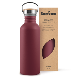 Stainless Steel Bottle